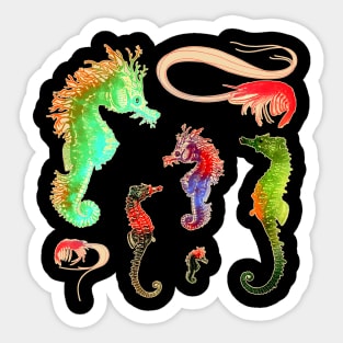 Marine Life Sticker